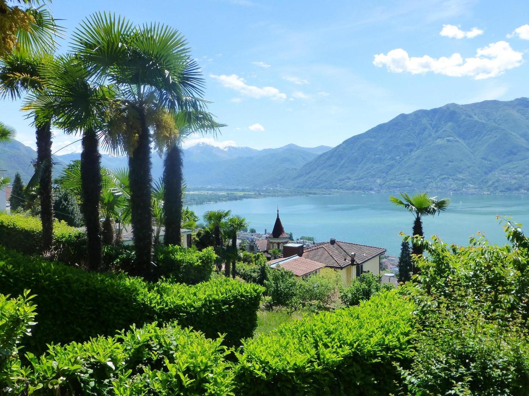 Collina D'Oro C14 By Fewotessin Orselina Dış mekan fotoğraf